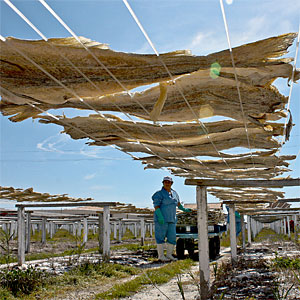 foto: georg desrues