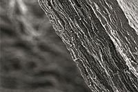 foto/grafik: li et al. / nature nanotechnology 2012
