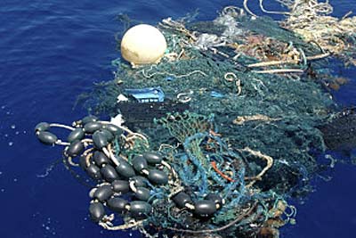 foto: reuters/j. leichter/scripps institution of oceanography