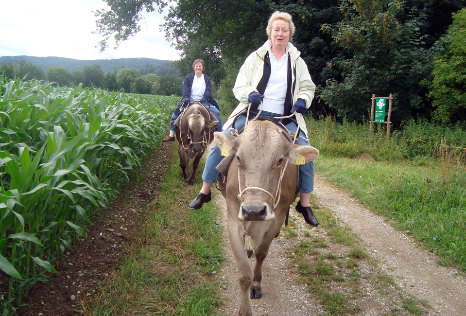 foto: www.bolderhof.ch