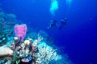 foto: belize tourism/tony rath/tonyrath.com