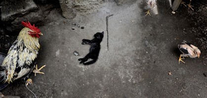 foto: andy urban