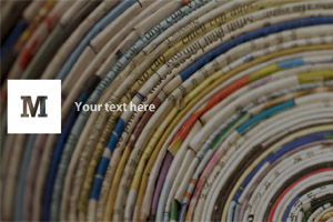 screenshot: derstandard.at