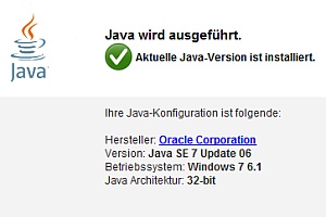 screenshot: derstandard.at