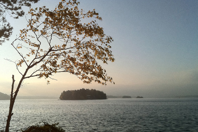 foto: torkild berglund/island lodge