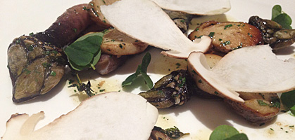 foto: derstandard.at