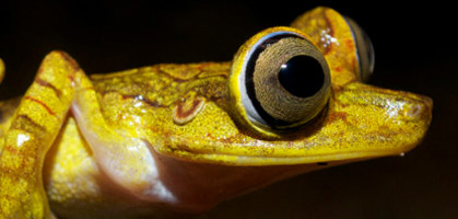 foto: mashpi lodge