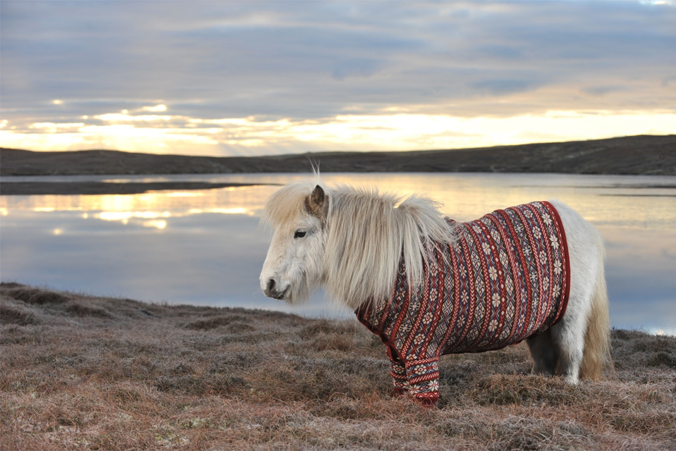 foto: visitscotland