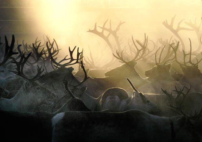 foto: visitfinland.com / antti saraja