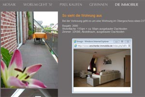 screenshot: derstandard.at