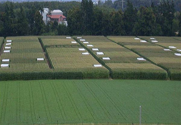 foto: harmen hendriksma, univ. würzburg