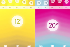 screenshot: derstandard.at/wisniewska