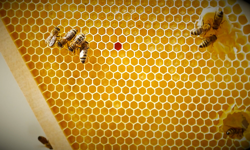 foto: derstandard.at/maria von usslar