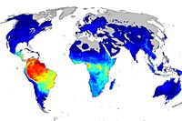 foto: plos one/kamran safi et.al.