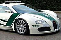 foto: dubai police foto: dubai police