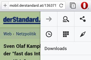 foto: derstandard.at