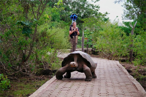 foto: google