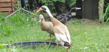 foto: anna bieder