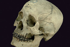 foto: reiss-engelhorn-museen 