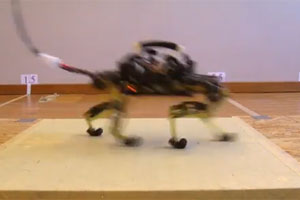 foto: youtube/epfl
