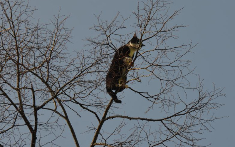 foto: ma 68 lichtbildstelle