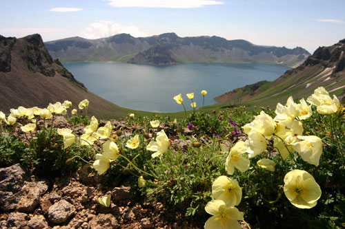 foto: alexander reisenbichler