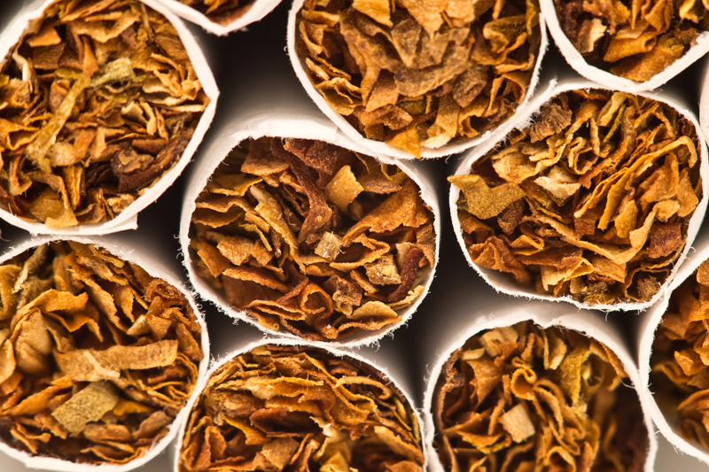 foto: apa/dpa/daniel karmann