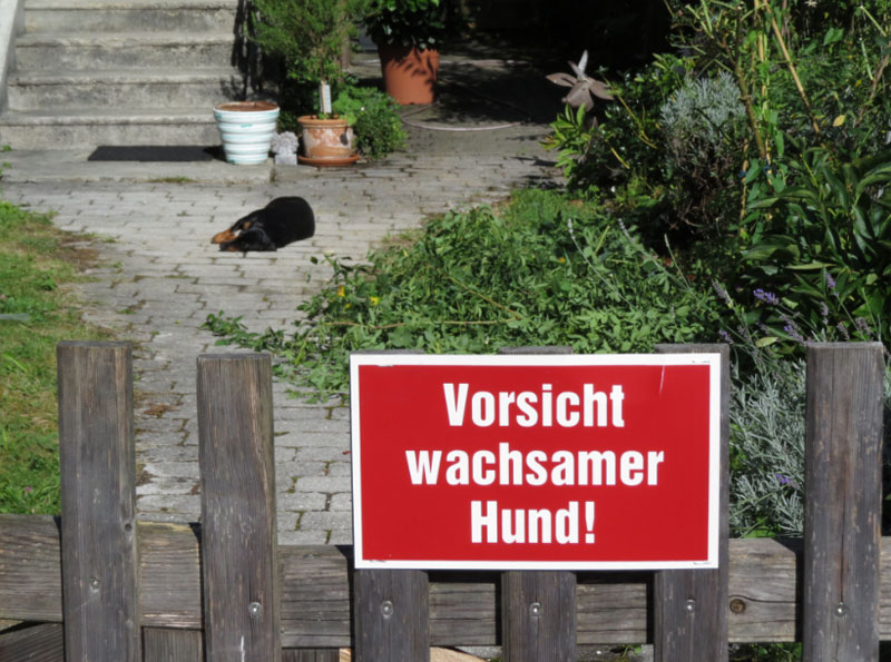 foto: standard/putschögl