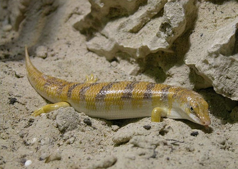 foto: wilfried berns