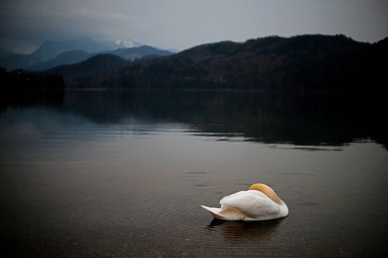 foto: foto: apa/dpa/karl-josef hildenbrand