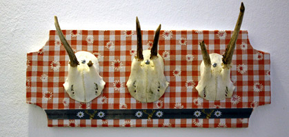 foto: derstandard.at/schersch