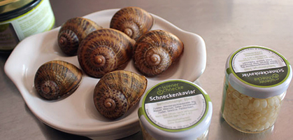 foto: derstandard.at/tinsobin