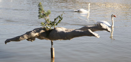 foto: herwig höller