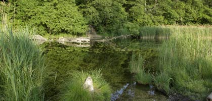 foto: standard/newald