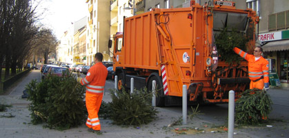 foto: derstandard.at