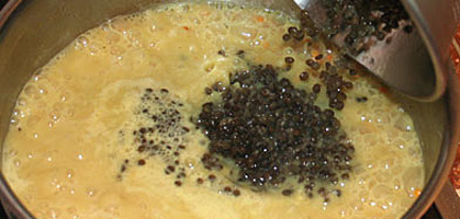 foto: derstandard.at/yun