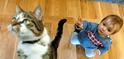 foto: der standard/heribert corn