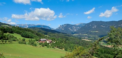 wie sieht ein penis aus niederösterreich wie sieht ein penis aus niederösterreich