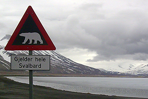 foto: anton helm