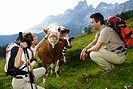 foto: österreich werbung / himsl