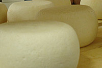 foto: unistandard