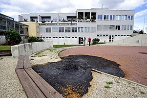 foto: der standard/andy urban