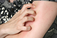 foto: derstandard.at/ursula schersch