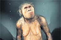 Foto: Museo de la evolución humana Foto: Museo de la evolución humana