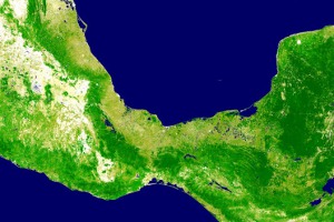 foto: google