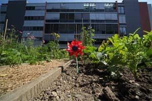 foto: der standard/fischer foto: der standard/fischer