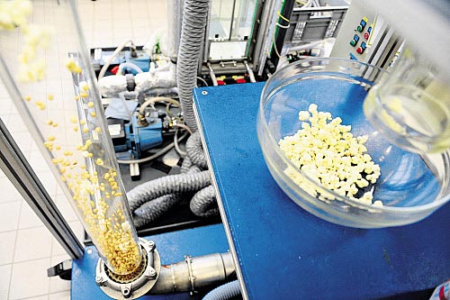 foto: standard/corn