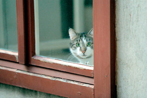 Foto: Robert Newald