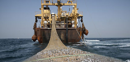 foto: greenpeace / pierre gleizes 