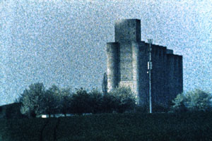 foto: viennale